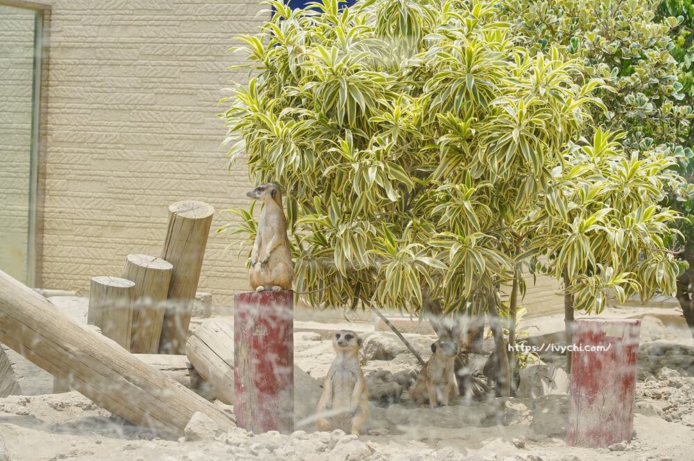 20251003110328 0 231d83