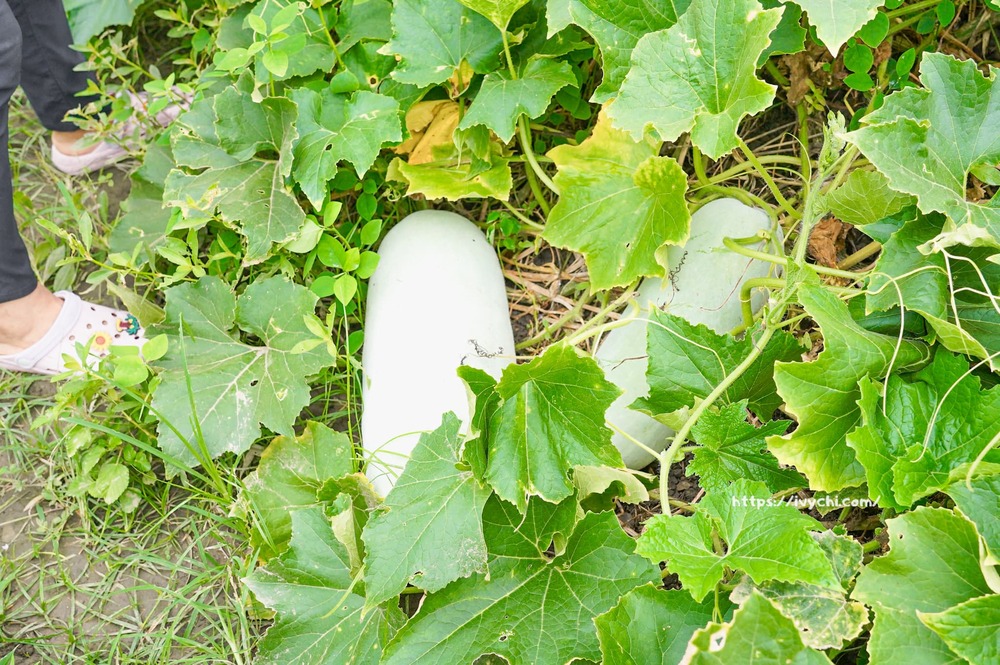 20251007100855 0 44243a