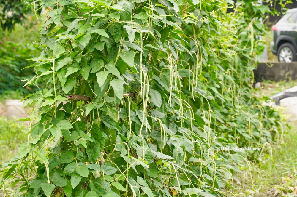 20251007100858 0 641e18