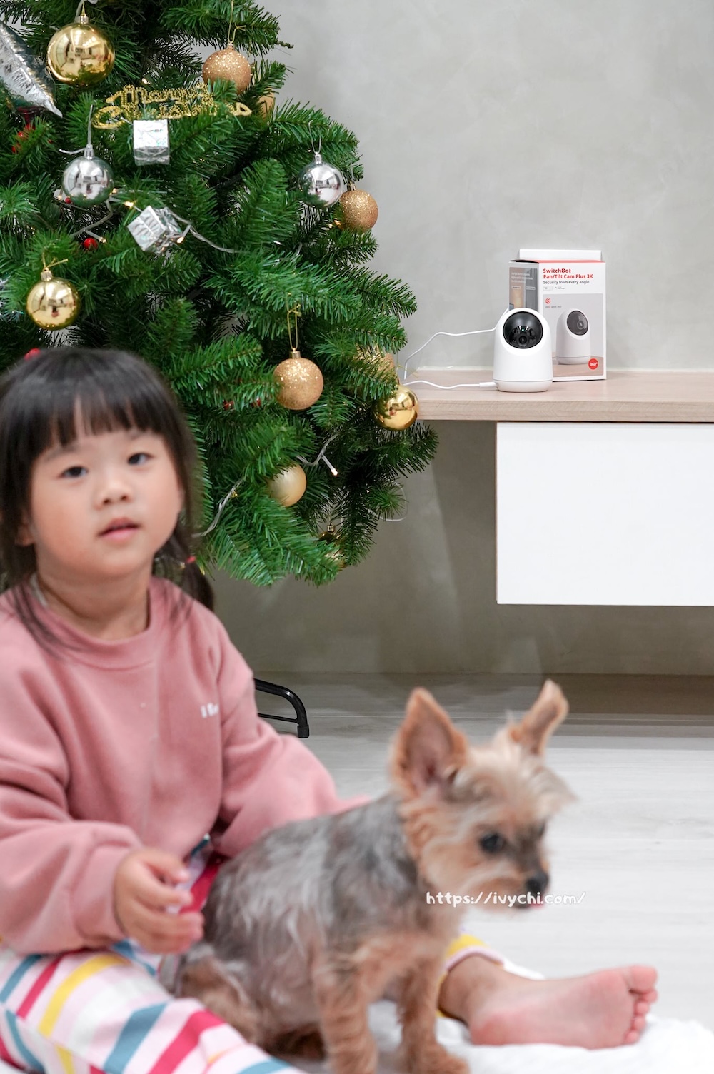 SwitchBot可轉向式攝影機Plus 3K |家用監視器心得分享,3K超清晰夜視、遠端互動,AI偵測實測! 20251210223148 0 83e4d7