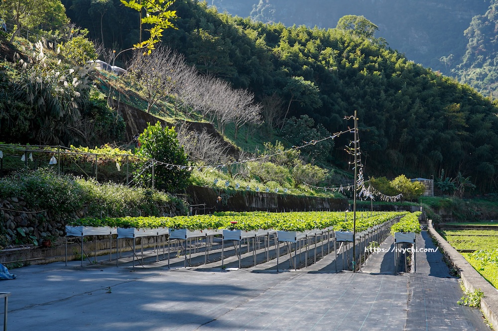 20251221235951 0 e8e35f