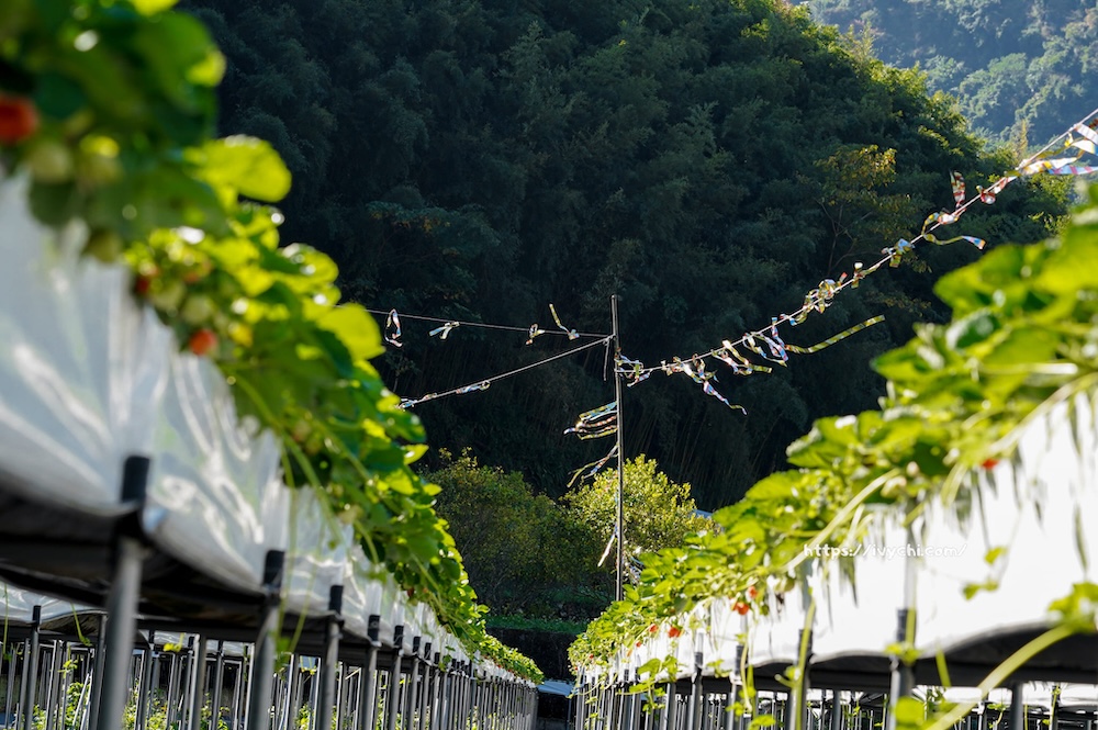 20251222172500 0 cf0145