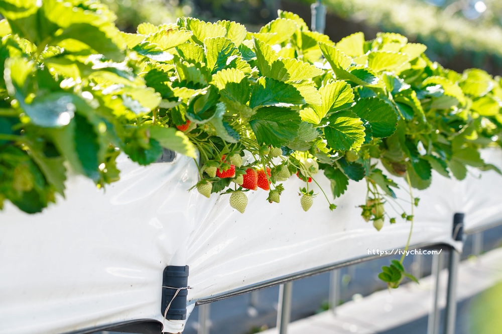 20251222172502 0 b72d10