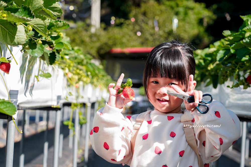 20251222174408 0 134a1a