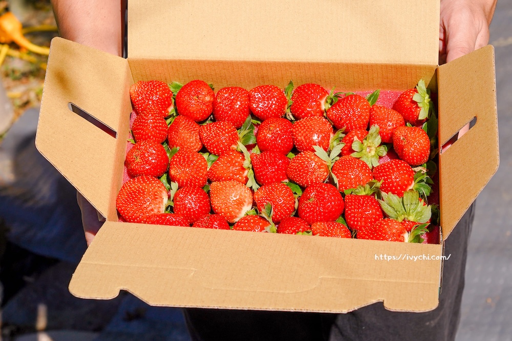 20251222212109 0 506110