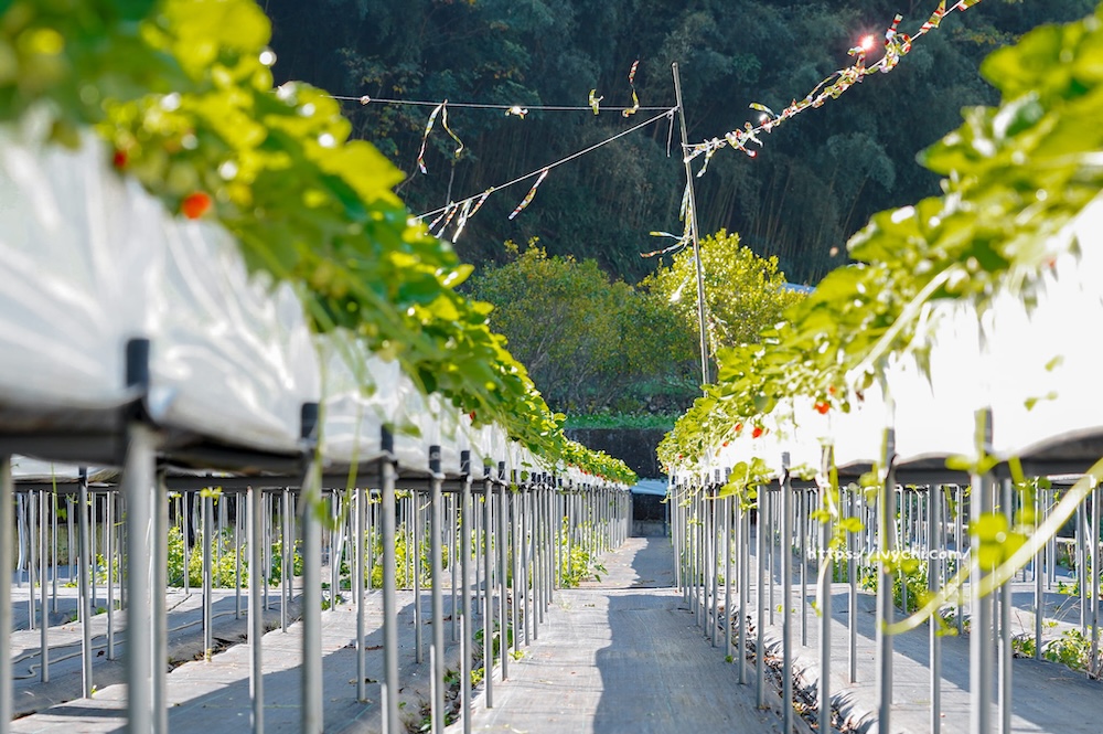 20251222212208 0 f0828e