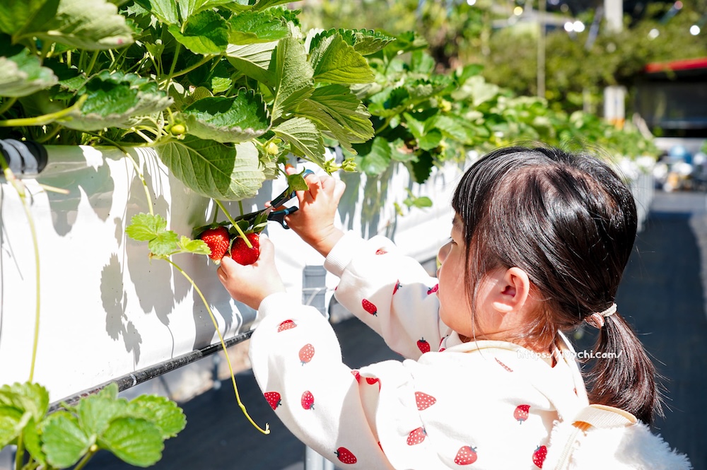 20251222212451 0 1eb285