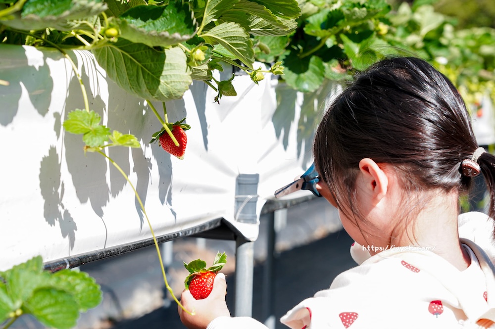 20251222212452 0 f0457c