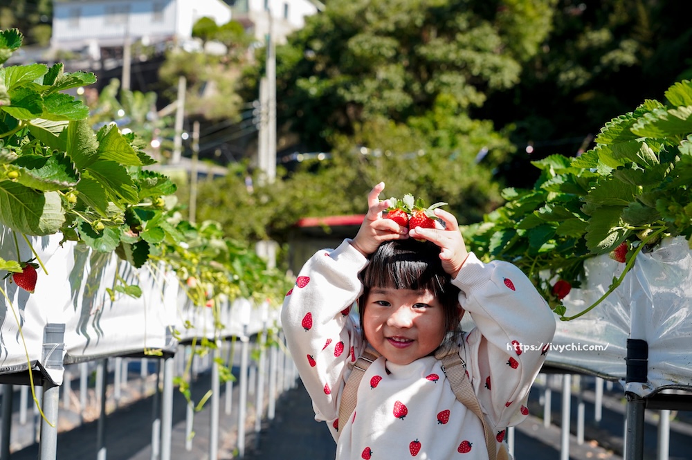 20251222212453 0 d4c22d