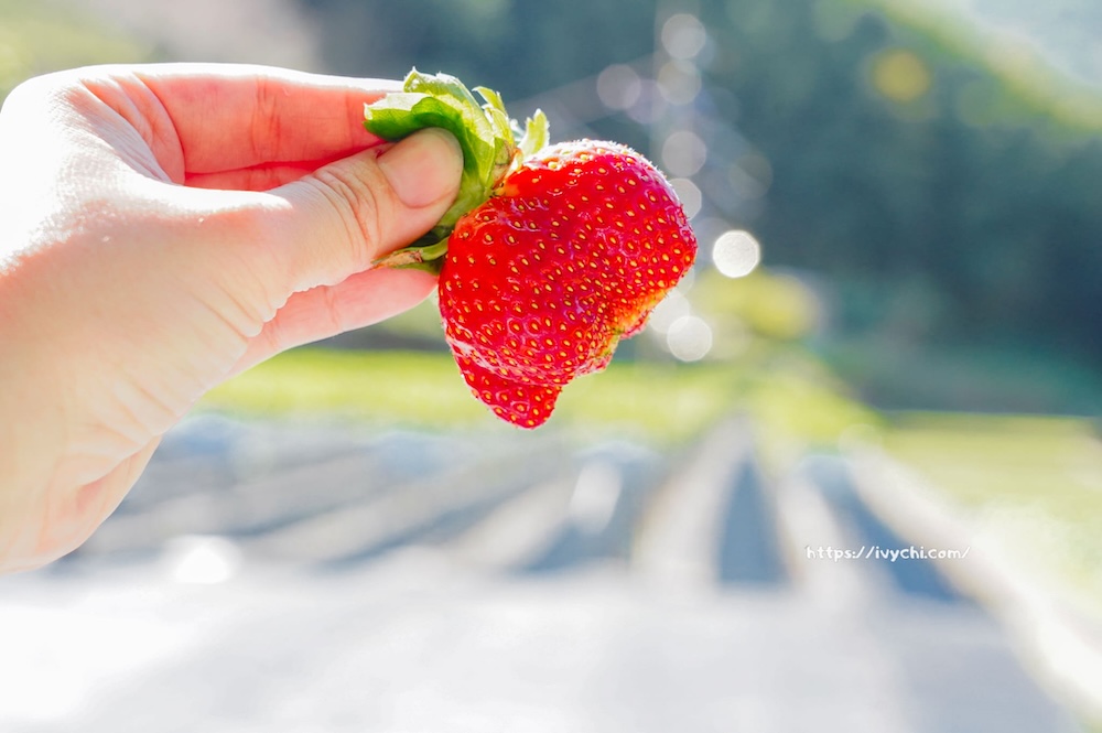 20251222212639 0 f5123f