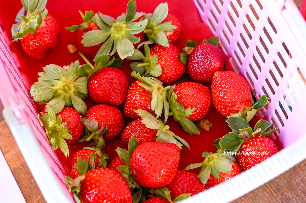 20251222213129 0 03b8c1