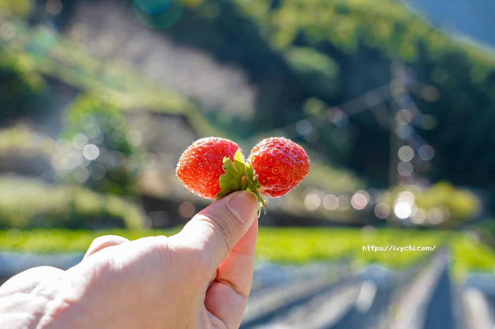 20251222213249 0 f6bc66