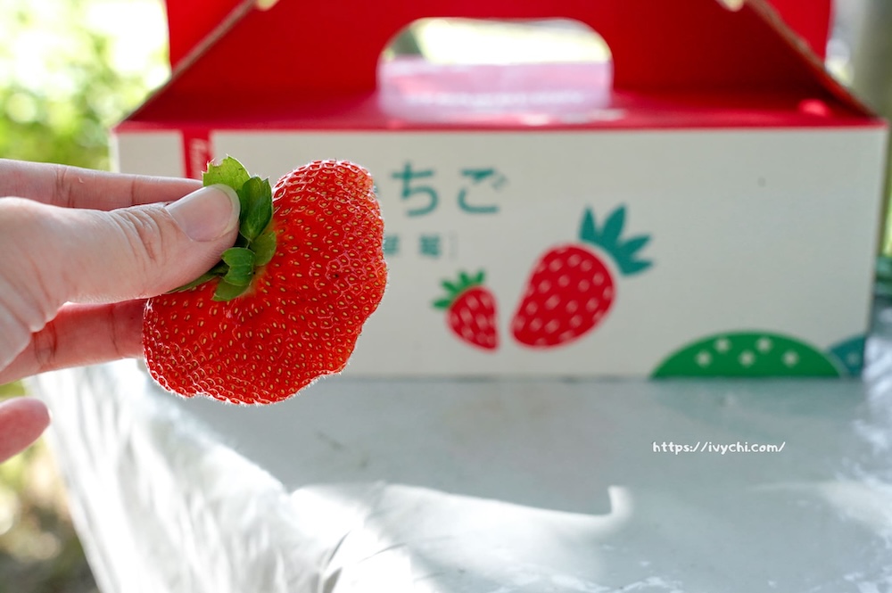 20251222213257 0 c26c82