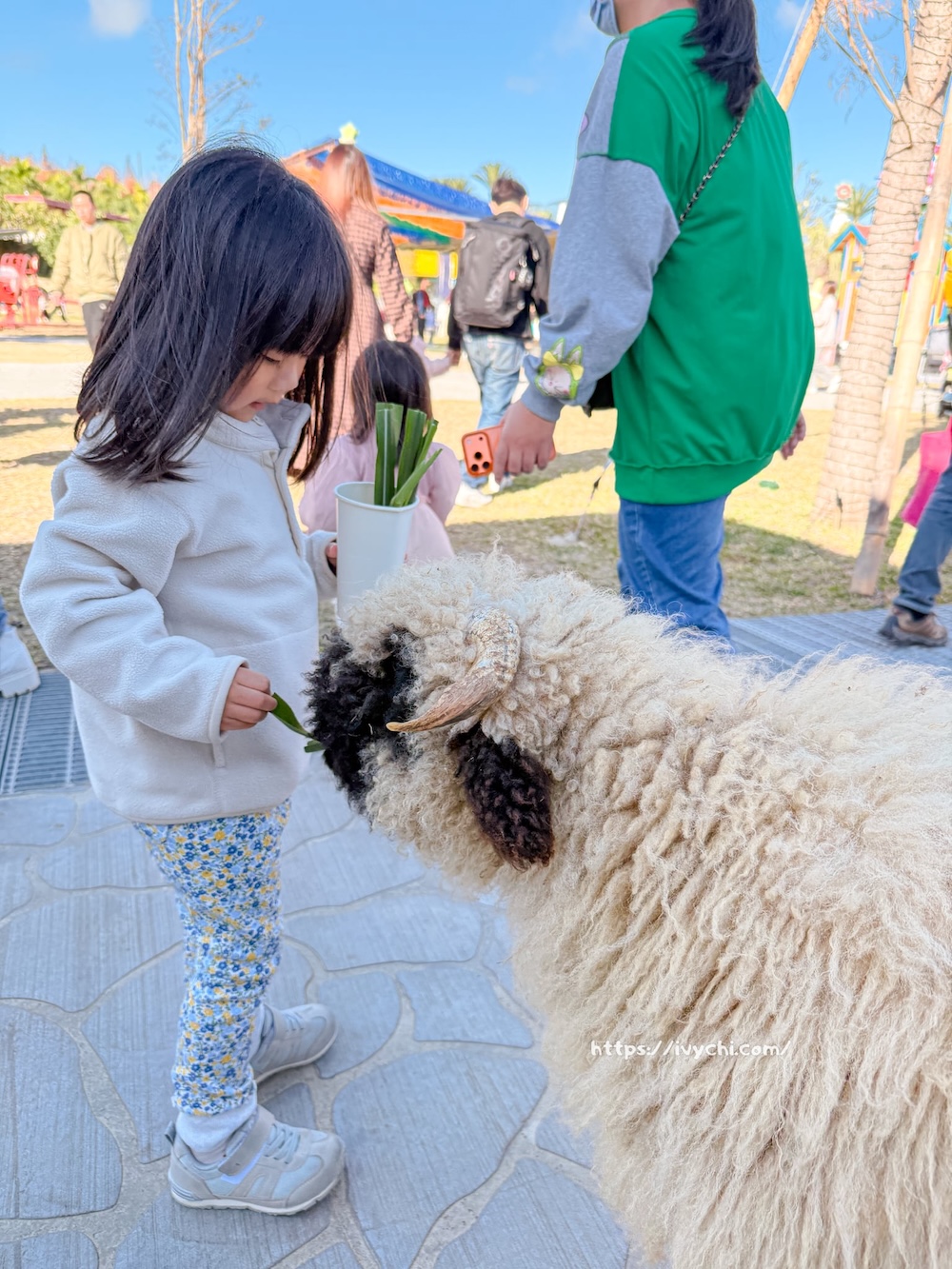 20260113224150 0 458ee0