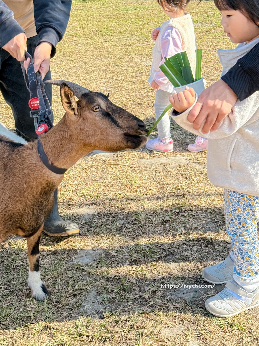 20260113224154 0 2699e9