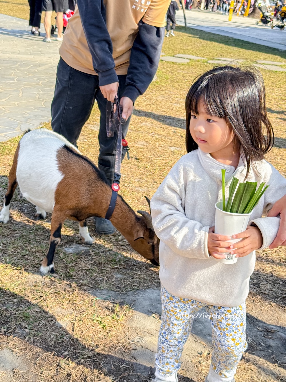 20260113224158 0 bcc6c1