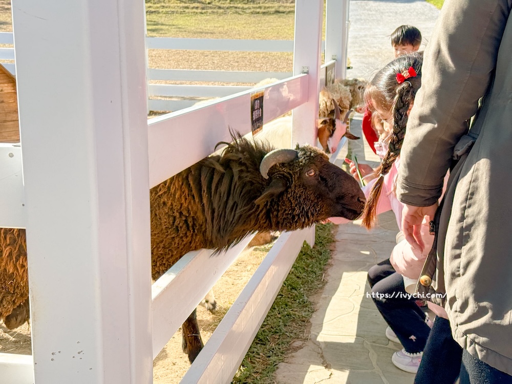 20260113224200 0 eeb752