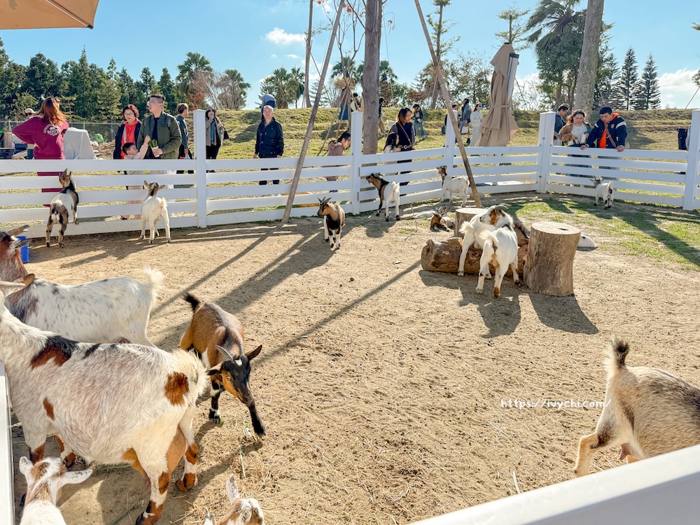 20260113224203 0 1a6d89