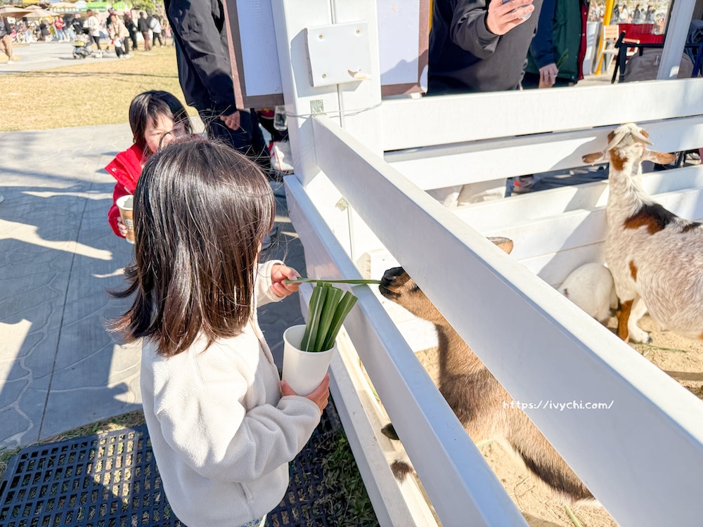 20260113224205 0 4b4518