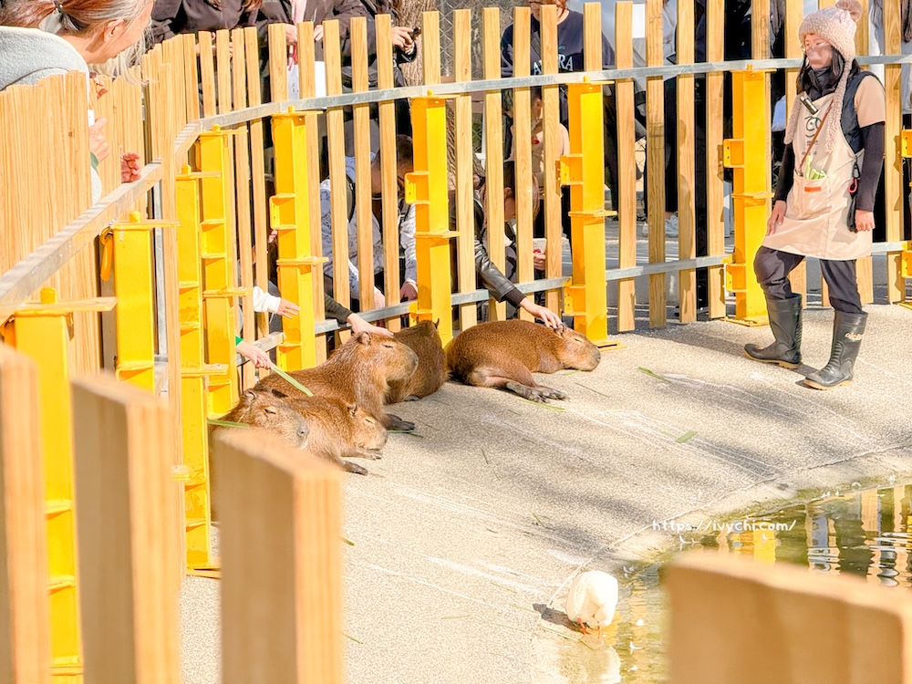 20260113224210 0 f5d626