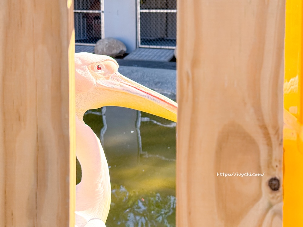 20260113224213 0 bc3828