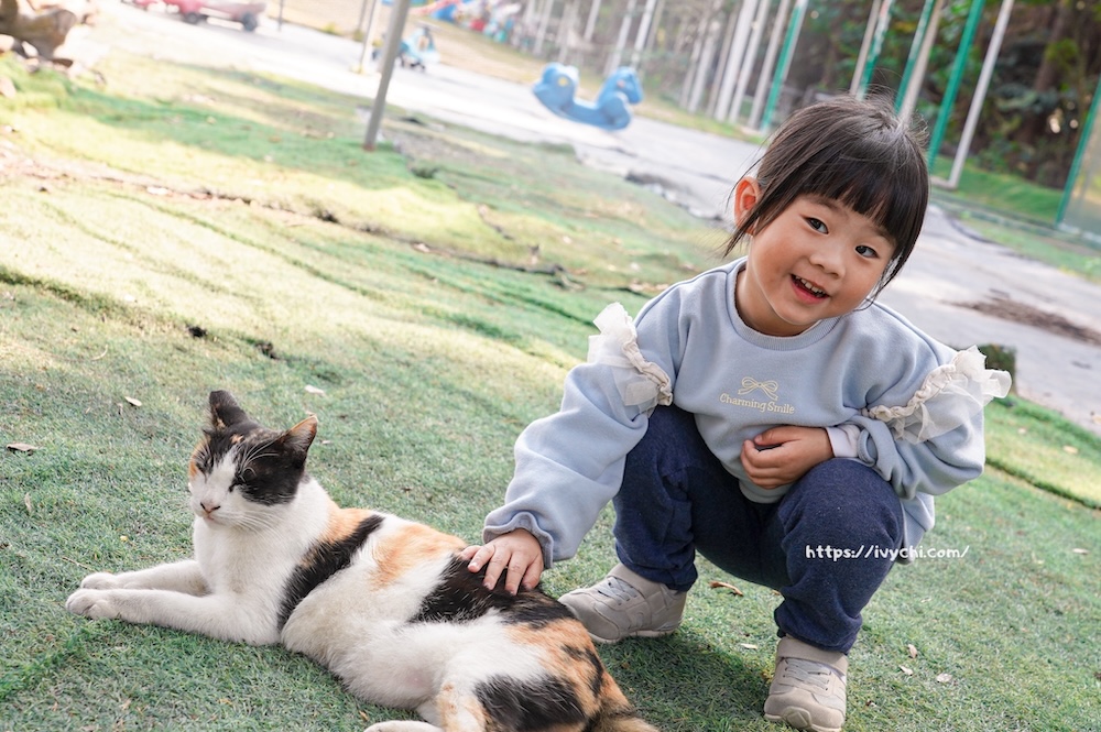 20260223222232 0 89412f