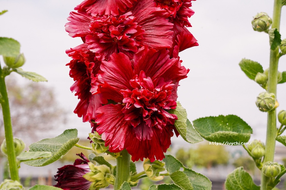 20260224092311 0 a00c49