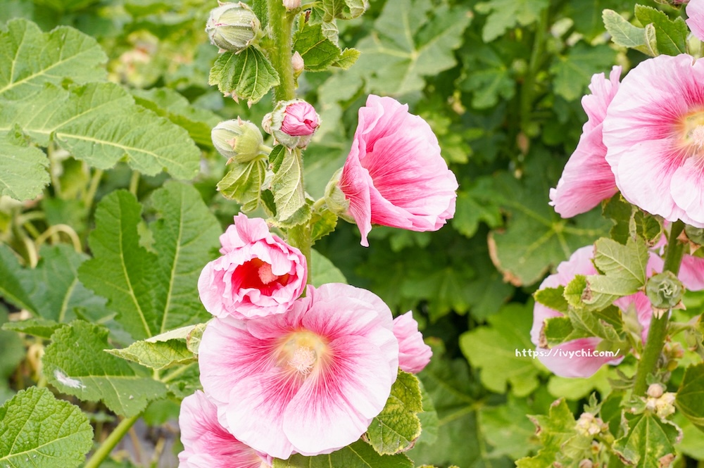 20260224092315 0 4cda9b