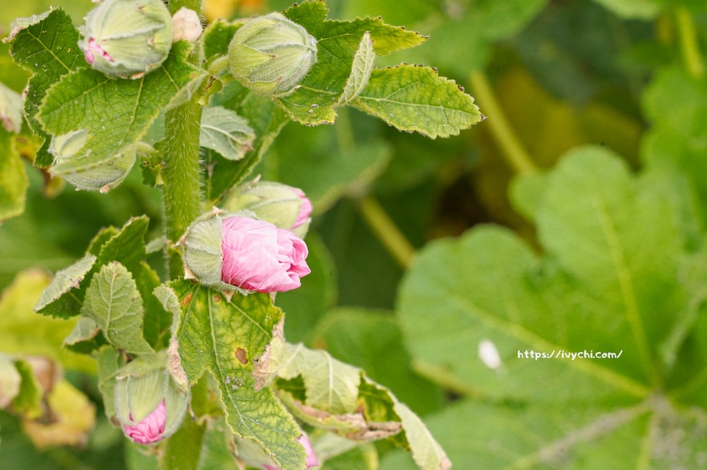 20260224092316 0 2468ac