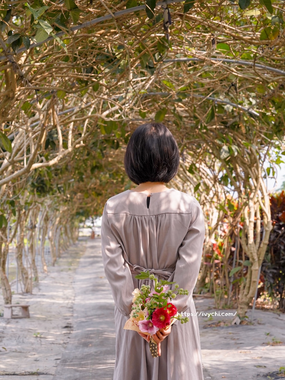 2026田中窯蜀葵花海藝術季!花海、萌貓、DIY手作到窯烤美食,打造完美親子一日遊 20260224095400 0 fb1819