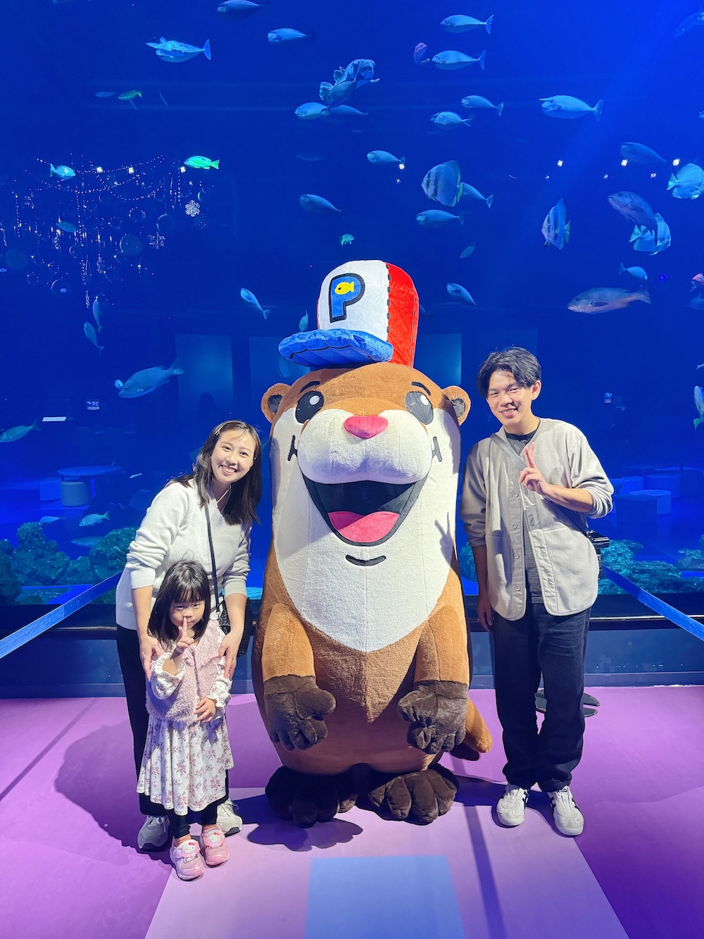 20260302222520 0 11a0fb