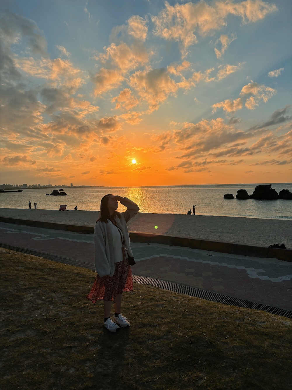 20260302223429 0 8d4d1a