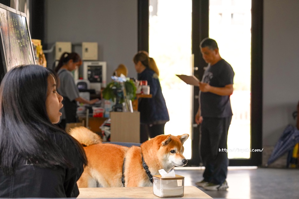 20260313233836 0 24805b