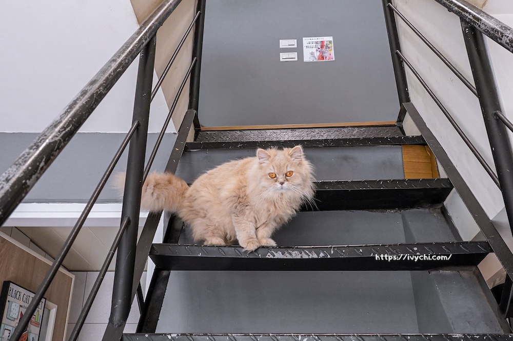 20260402144649 0 917ab3