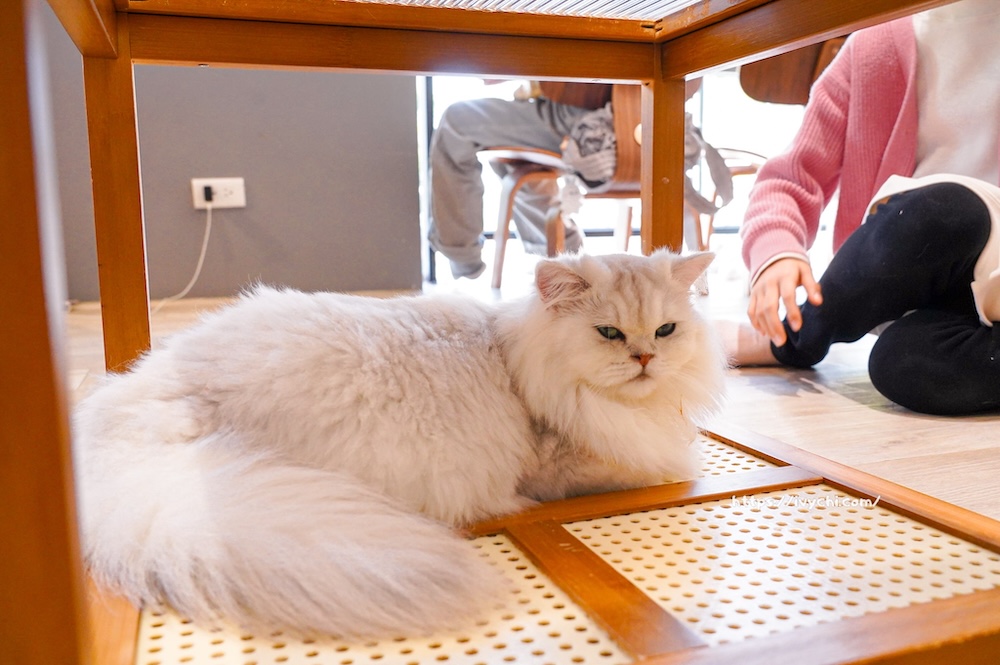 20260402152218 0 a76ae3