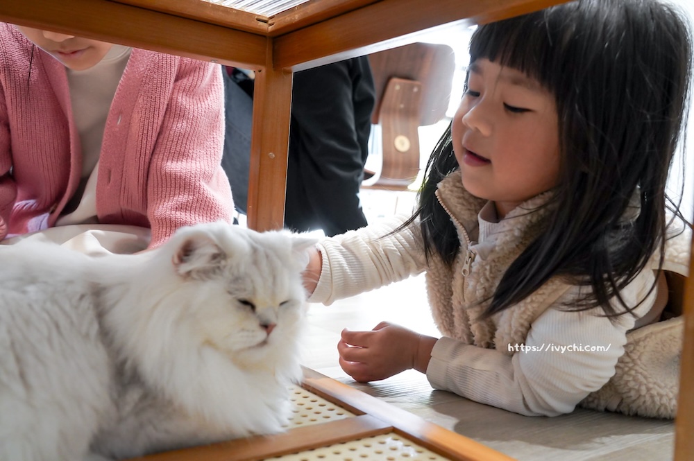 20260402152221 0 139609