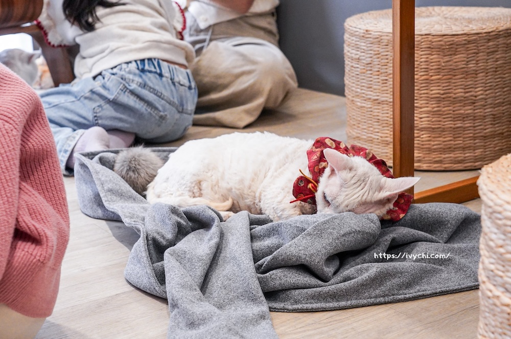 20260402152225 0 3accfe