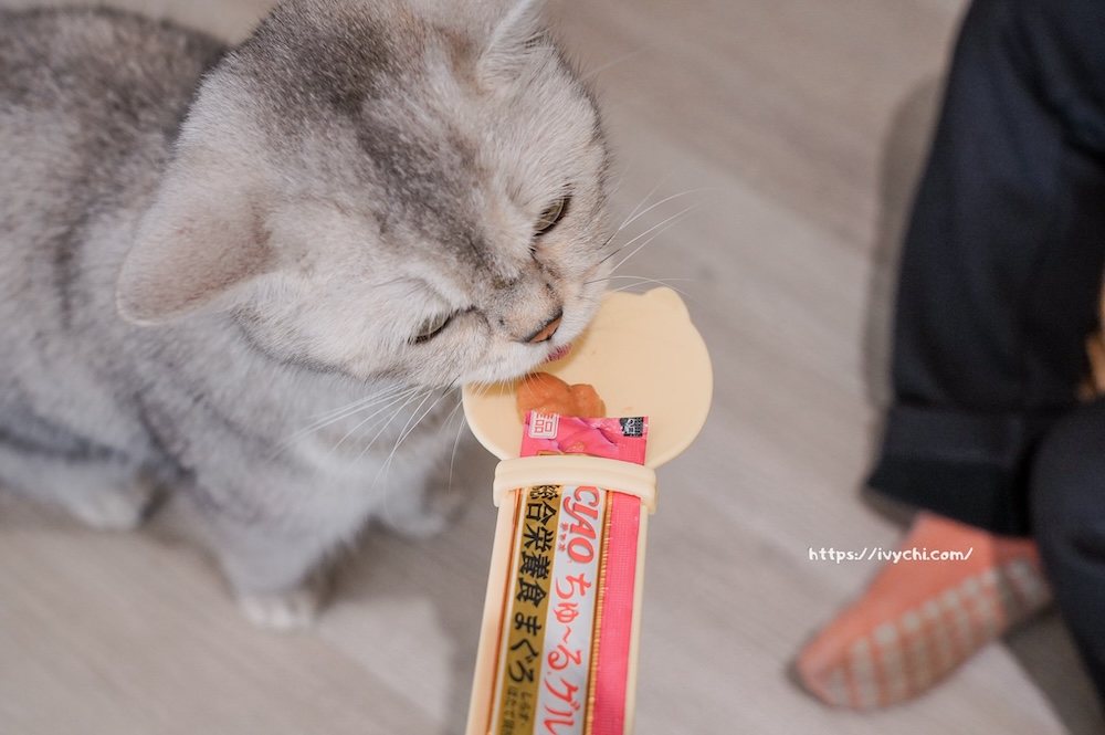 20260402215812 0 a7eab3