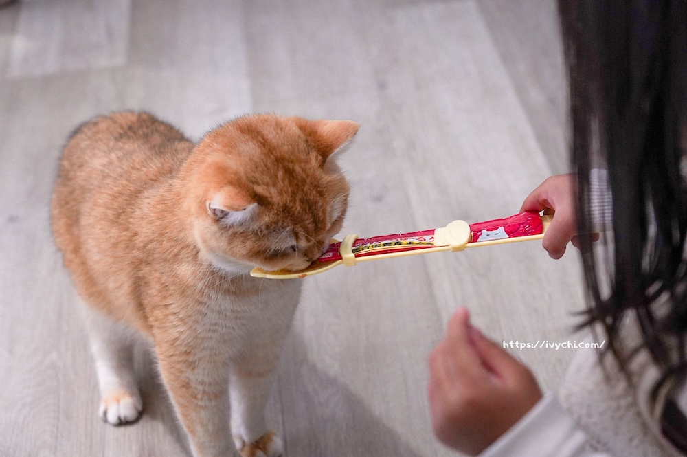 20260402215814 0 4fa789