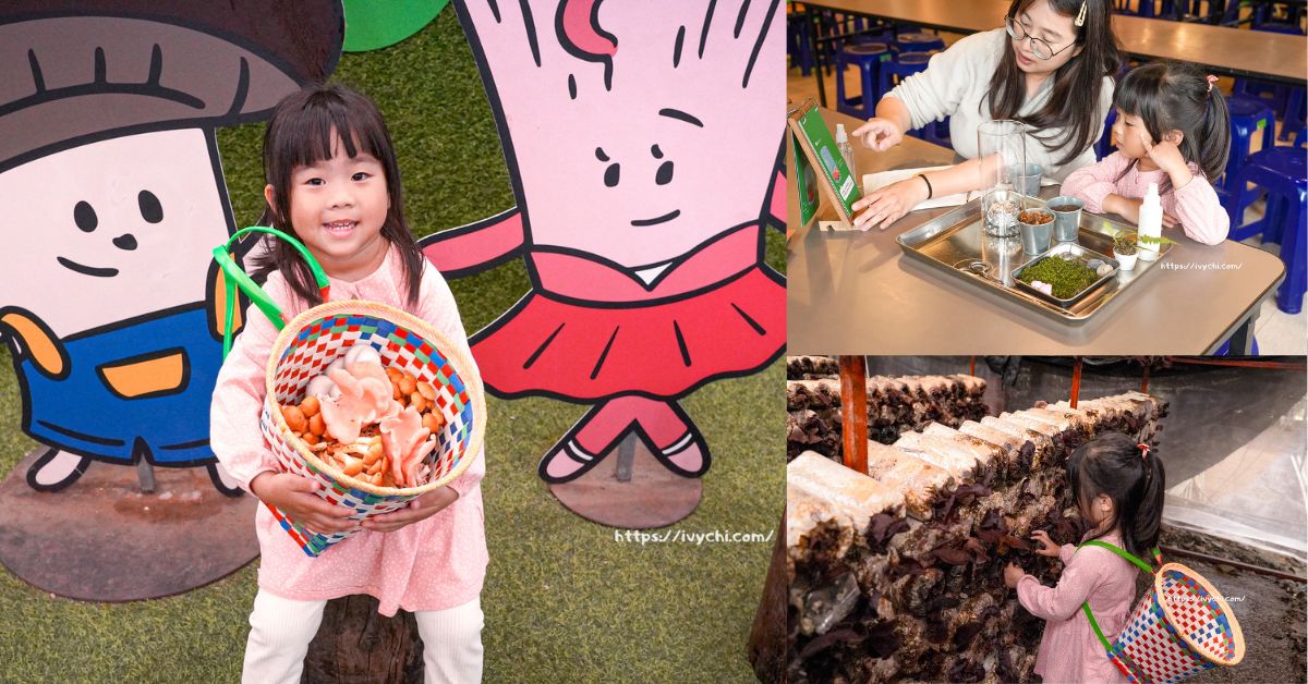 豐年農場 |埔里親子景點推薦，採菇樂、DIY、香菇火鍋一次滿足的南投親子一日遊!