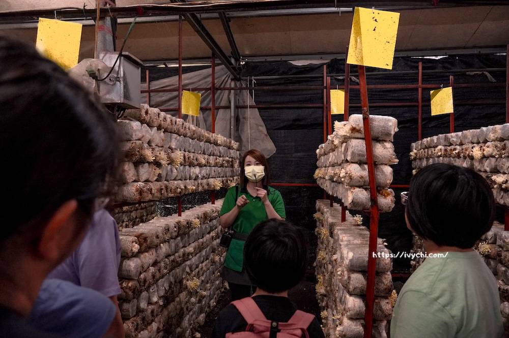 20260409231025 0 6fc506