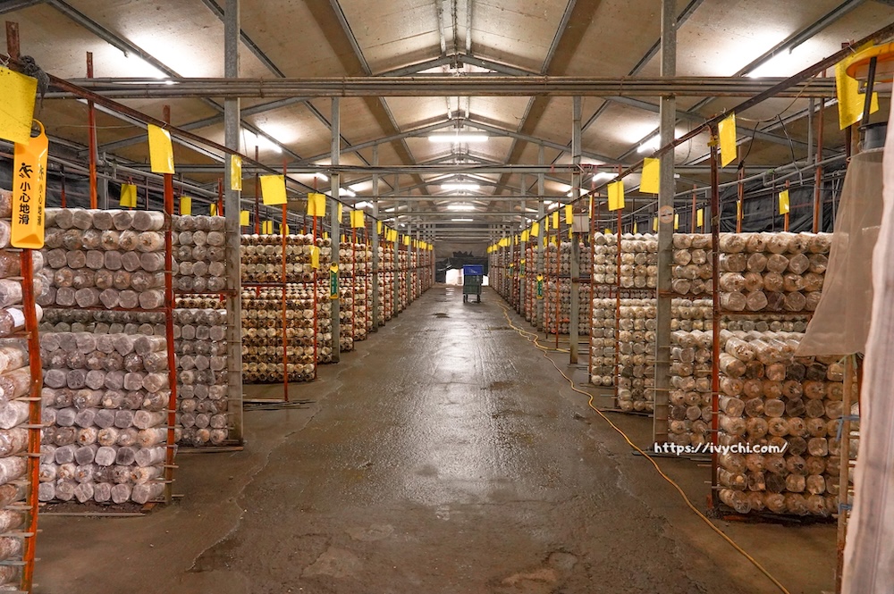 20260410091453 0 81fb08