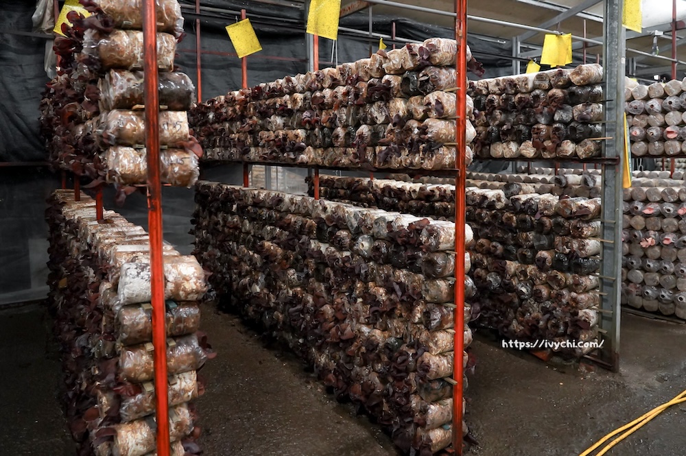 20260410091509 0 b7ccb3