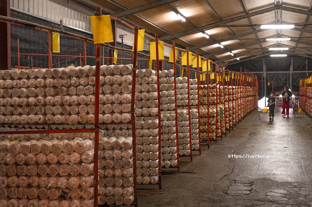 20260410091800 0 5a5065