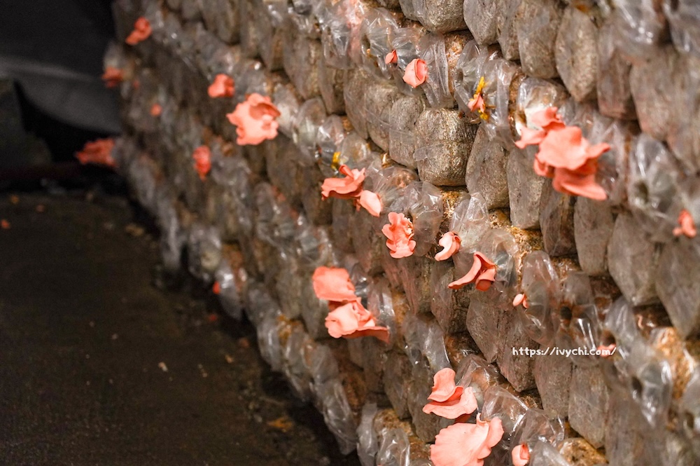 20260410091852 0 708997