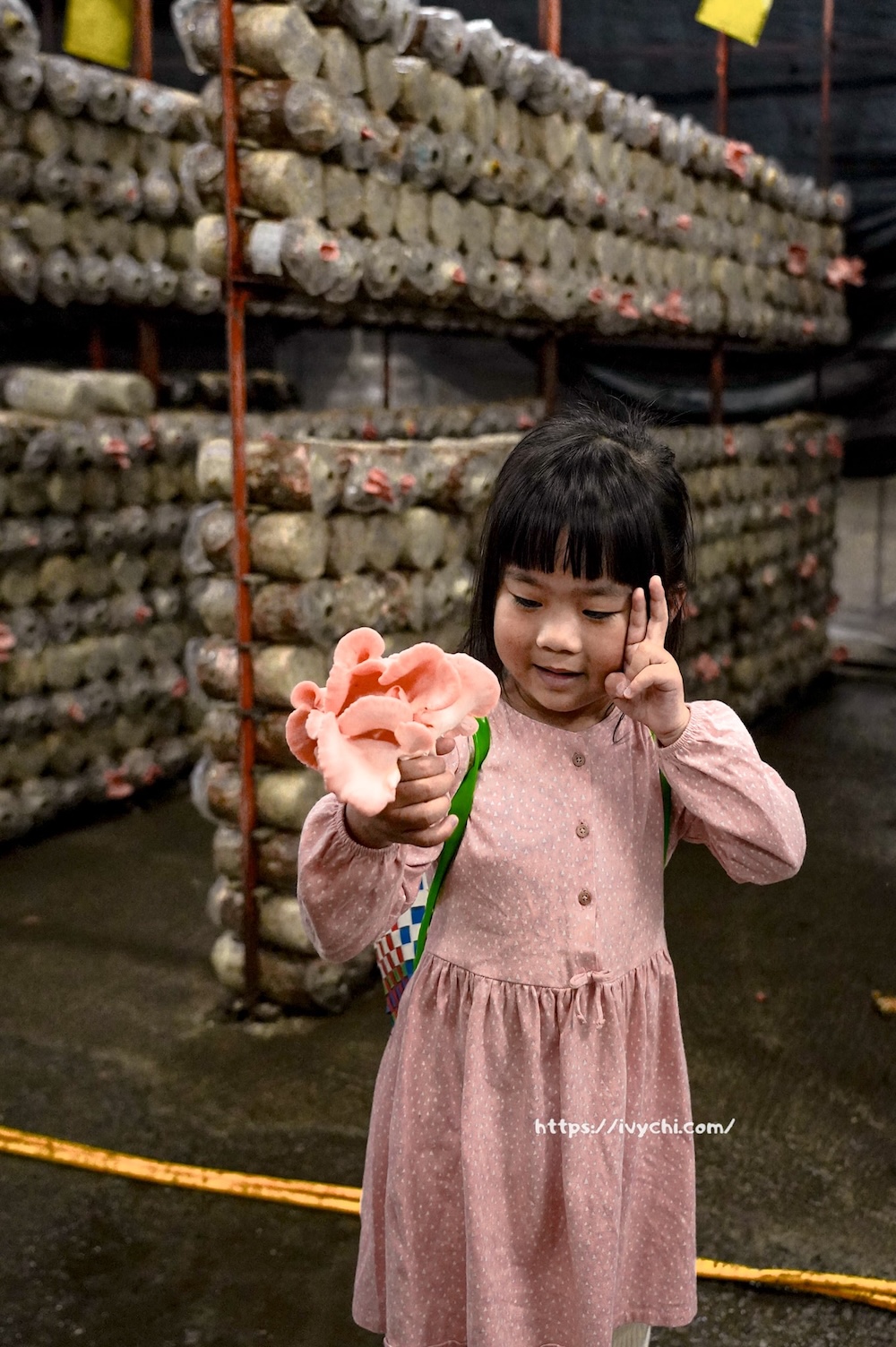 20260410091857 0 d68410