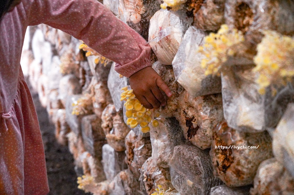 20260410092339 0 34904b