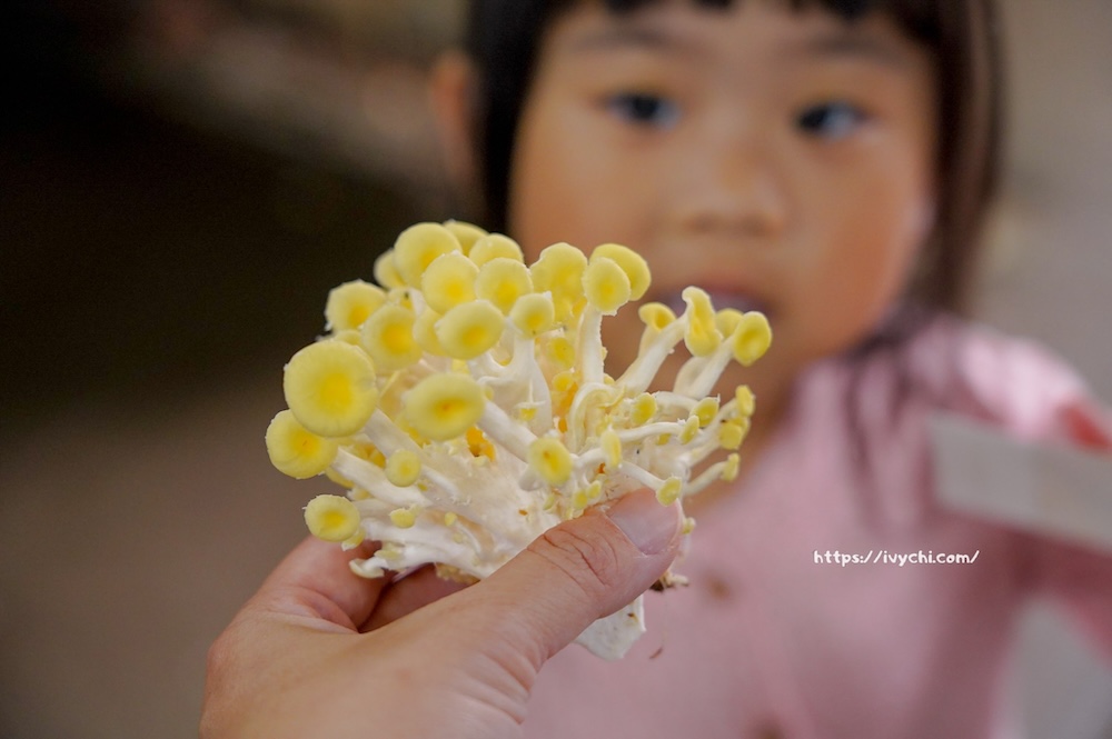 20260410092341 0 02886c