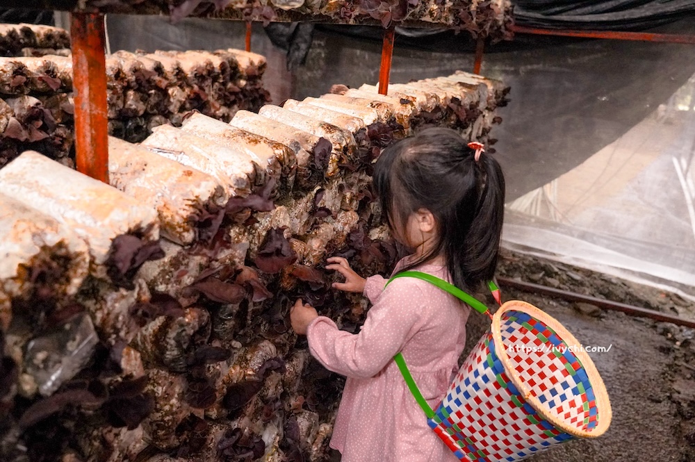 20260410092401 0 fd883b