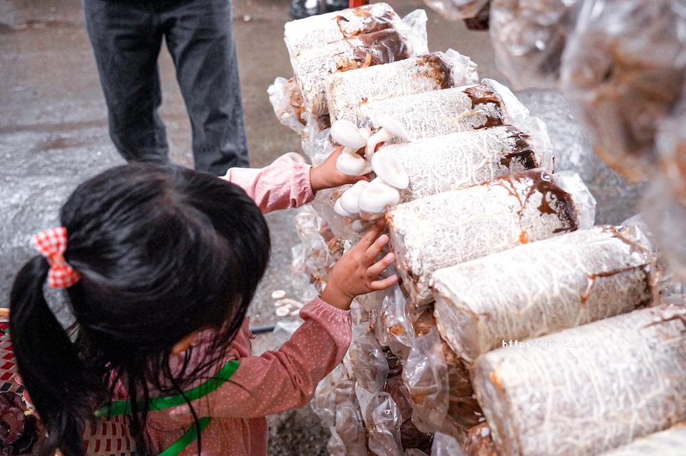 20260410092404 0 dc92a0